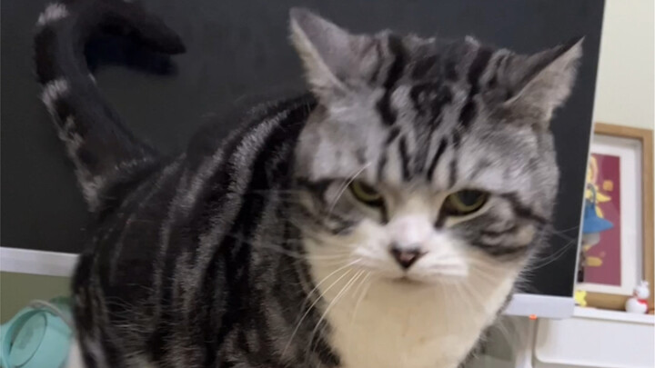 Con người! Bạn thật là trẻ con!