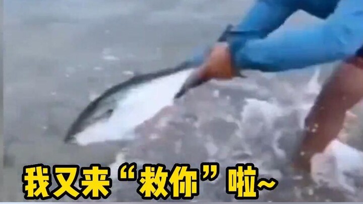 لطالما رأيت بوذات حيّة، لكن هذا أول مرة أرى فيها يامنًا حيًّا...