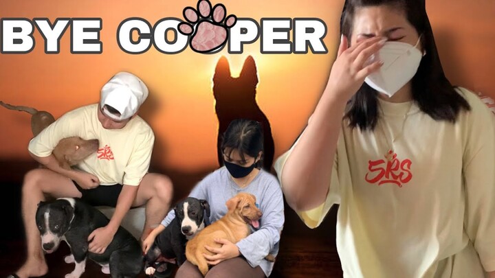 BYE COOPER (HELLO PABLO AND BAILEY) VLOG49