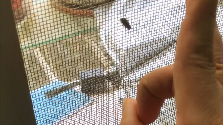 ทำไมคุณถึงไม่หลบล่ะ?