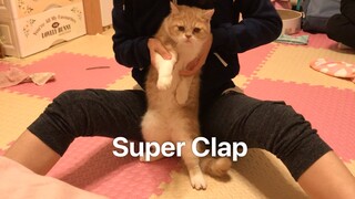 Super Junior - Super Clap 全网最快猫咪翻跳