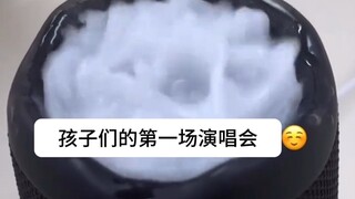 《Abstract and Difficult Video Appreciation from Abroad》#196