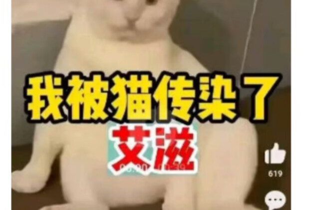 “หัวเราะกันลั่นห้อง” ตอน: ผมติดเชื้อเอดส์จากแมว!