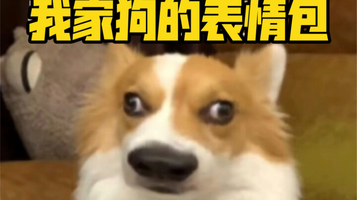 Xiaobei: Siapa yang bukan emoticon?