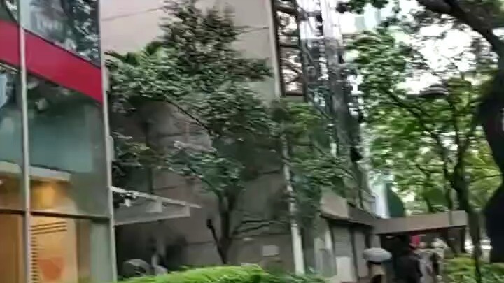 永远不要失去热爱生活的能力，当你开始热爱它， 它会教给你治愈一切的魔法🪄