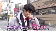 S.COUPS AND WONWOO DINGO FUTURE DIARY PART 2 SUB INDO