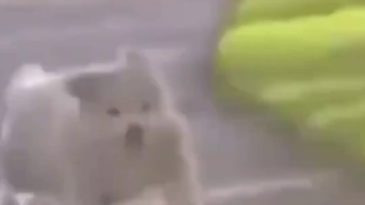 Fujian Hotel Free-Stay Mix-Up: Thought It Was a Special Favor—Turns Out I Was Wrong!