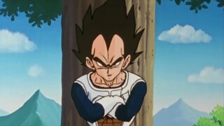 Review of Vegeta's smart and decisive performances