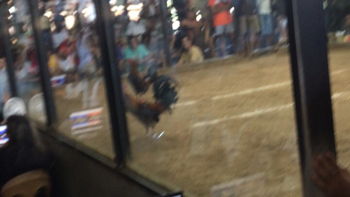 1 Hit Delete galing ng manok👌