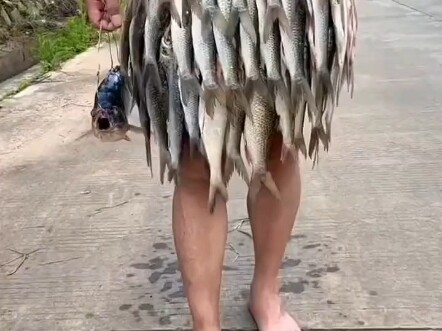 Aduh, ini harus memancing berapa banyak ikan ya!
