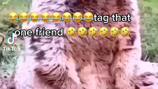 What 🤯😂😂