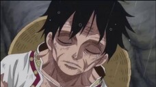 Kasian Banget Ini Luffy🥺