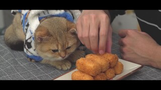 Fried Milk Melt in Your Mouth - 揚げた牛乳 レチェ・フリータの作り方 by Nino's Home