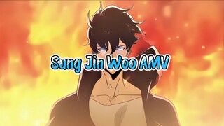 Sung Jin Woo AMV