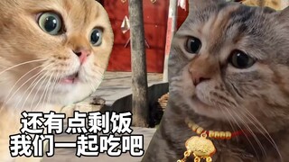 Dari "dingin" menjadi "rendah dan panas", hanya dia yang membutuhkan waktu 2 hari