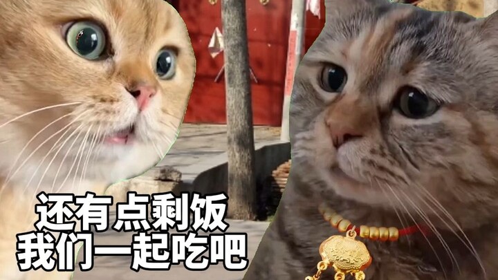 Từ "lạnh lùng" đến "ấm áp" chỉ mất của anh ấy 2 ngày