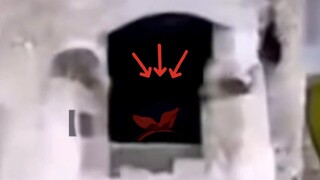 【贝拉】这是一段来自公元2024年的珍贵影像......