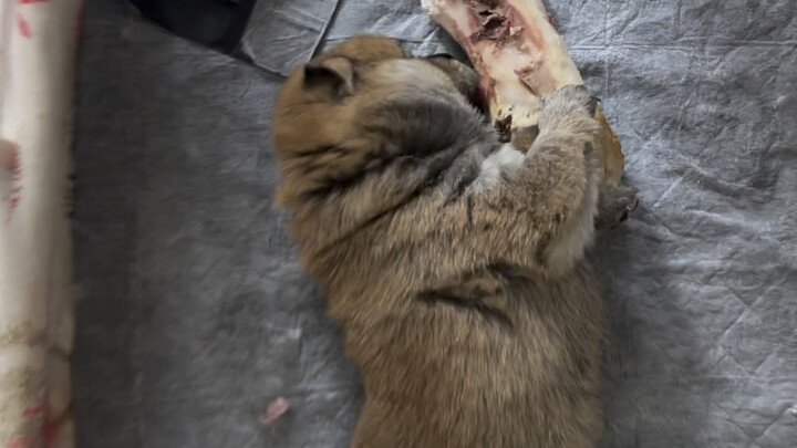 الكلام سريع جدًا