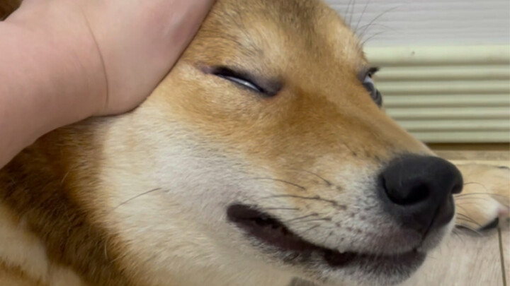 Mom's big boy (Who are you guarding against, exactly?)