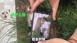 搂人搂鸡就算了，还搂老鼠，猫哪有这么睡觉的？