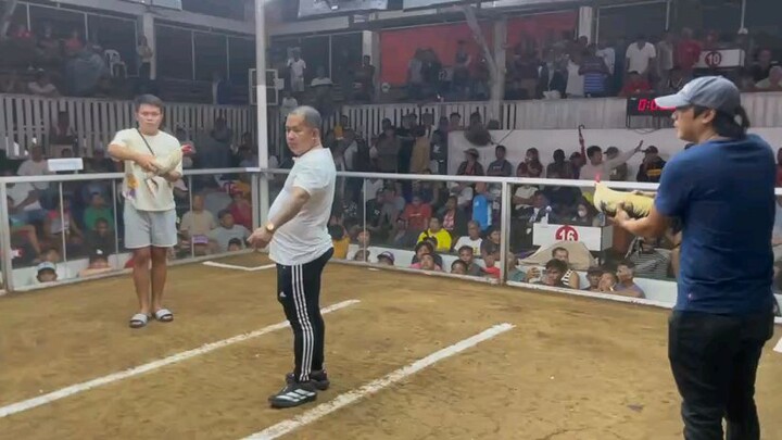 Harold Brown Grey x SBR 1st Win