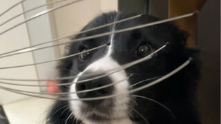 Từ khi dùng thử con bạch tuộc này một lần, tôi đã nghiện luôn rồi.