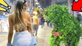 Bushman Prank Scares in The Streets of Madrid เล่นตลกกับบุชแมน