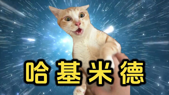 That day, a “Hakimide” showed up in the Hakimi Realm!