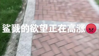 狂  化  嘉  心  糖