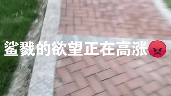 狂  化  嘉  心  糖