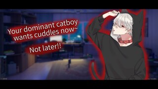 Boyfriend ASMR|Dominant Neko boyfriend wants cuddles now not later~|[M4F][Possessive][Soft][Improv]