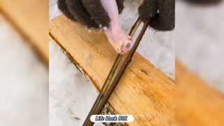 Mẹo sinh tồn mùa đông - P2