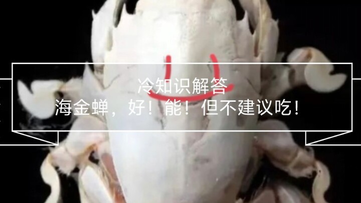 冷知识解答，海金蝉，好！能！但不建议吃！
