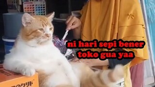 KOKOH OYEN JAGA TOKO