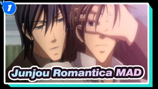 [Junjou Romantica]Who you are?[JR]_1