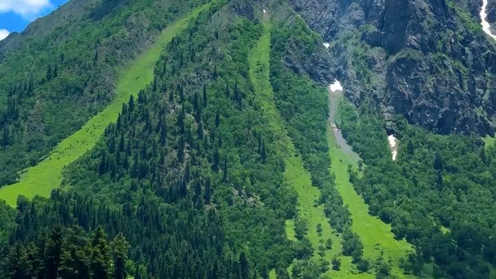 Nature at its finest 🌲🏔️💚 #Kalam #Swat #Pakistan #MountainView #Nature #TravelPakistan #ExplorePa