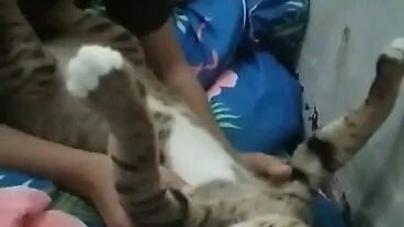 พี่โต๊ด