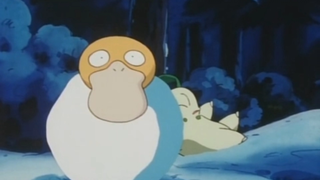 Saya tidak akan mengatakan apa-apa lagi, Kodak akan selalu menjadi orang yang lucu🤣🤣 Pokémon sangat 