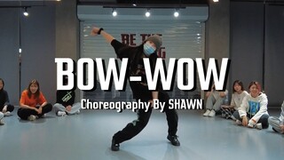 【ODP】这个Swag范儿太顶了!|BOW-WOW-宋闵浩Mino|女生一帅就没有男生什么事了