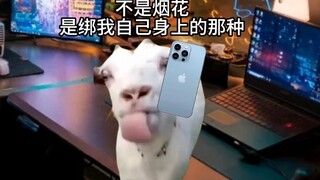 纵身一跃的那一刻，他就是天上最闪亮的星