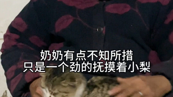 Grandma: I’ve already lost Xiao Hei; I can’t afford to lose Xiao Li too.