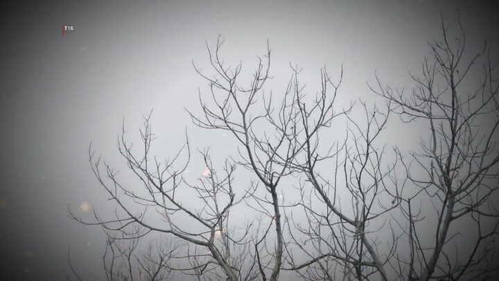 Cánh Cửa Bí Mật - Tập 04