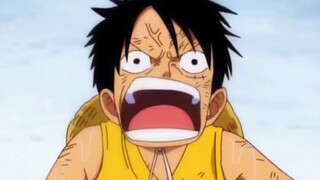 Ketika Luffy berkata kepada Empat Kaisar, "Aku ingin menjadi One Piece," reaksi Empat Kaisar