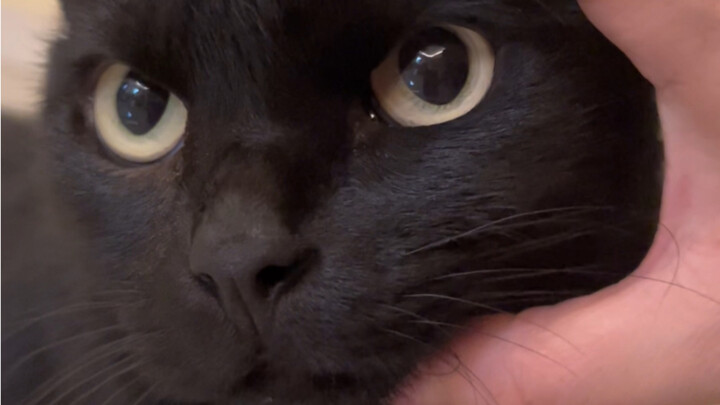 Lúc thì lạnh lùng tàn nhẫn, lúc thì ngây thơ trong sáng