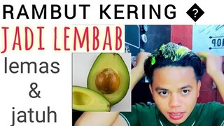 cara mengatasi rambut kering secara alami dan cepat, manfaat buah alpukat