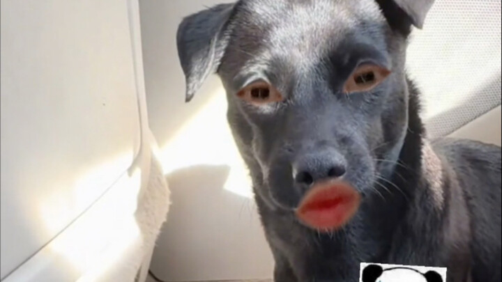 You tell me—who said it? Me?