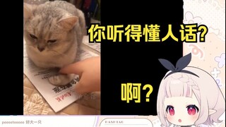 日本萝莉看“无 障 碍 交 流”直接绷不住