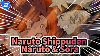 Naruto Shippuden
Naruto & Sora_2