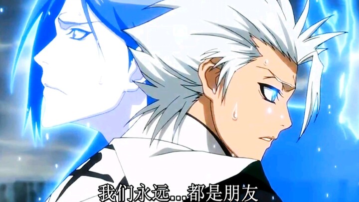 There is only one Hyorinmaru, and there is only one you