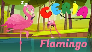 CERIA - Belajar Tentang Hewan: Flamingo